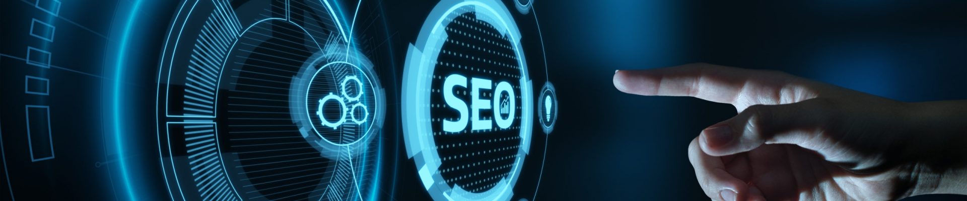 Professional SEO Services - Vovia