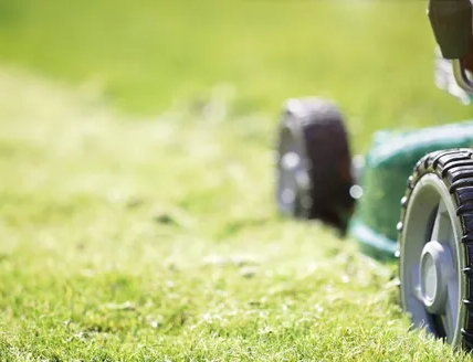 weed control