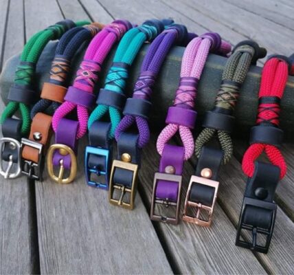 dog harness