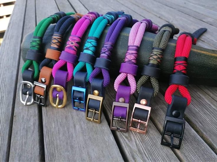 dog harness