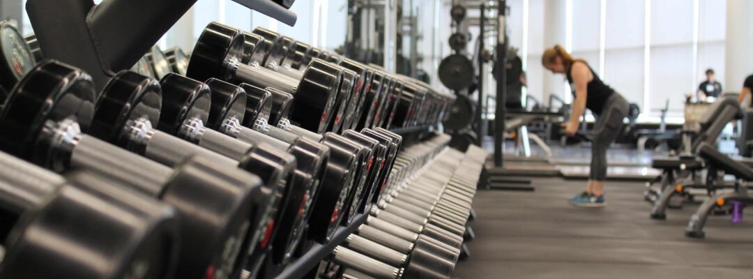 Fitness Business