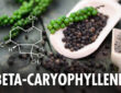beta-caryophyllene